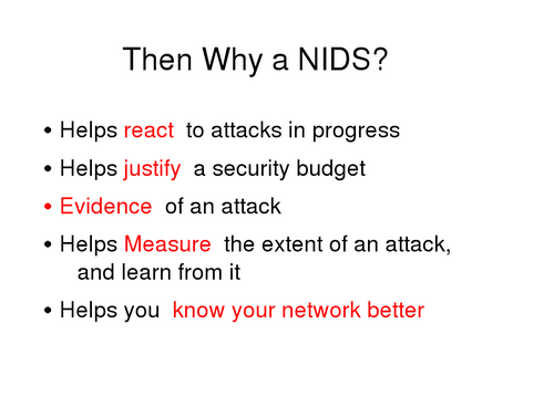 Slide 8